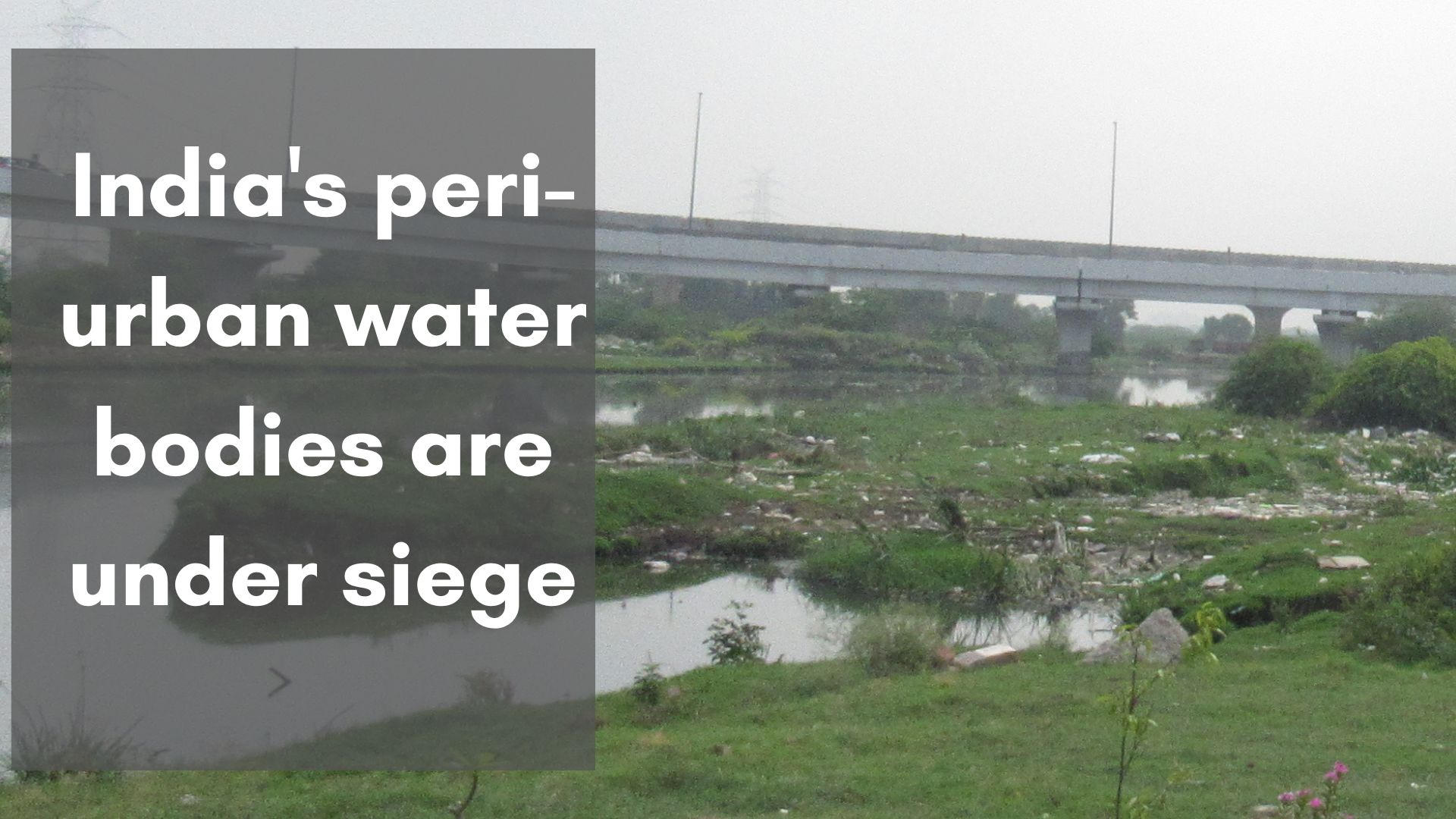 India's peri-urban water bodies are under siege
